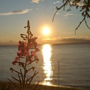 Meet your Posher, Joana